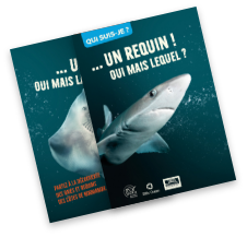 Dépliant<br />pédagogique