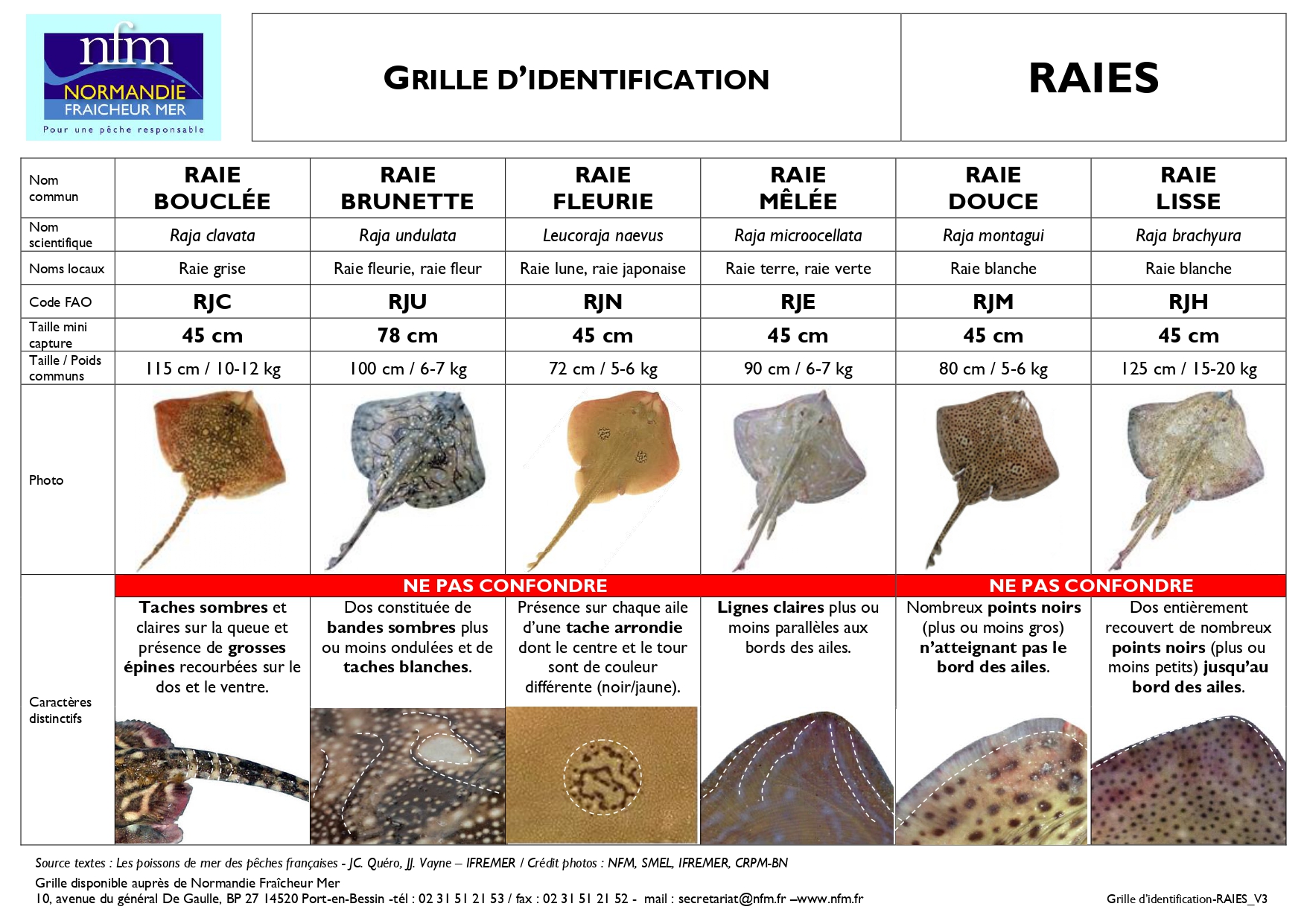 Une grille d'identification