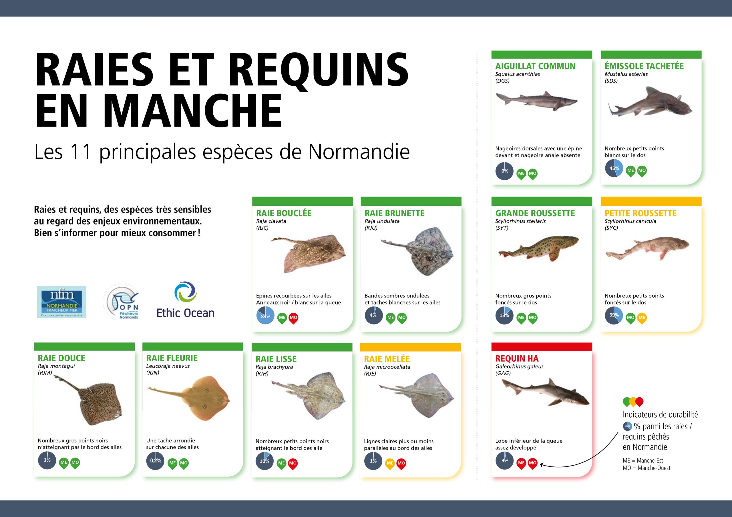 Des&nbsp;indicateurs de durabilité