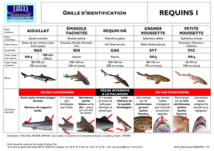 Grilles d’identification<br />des espèces