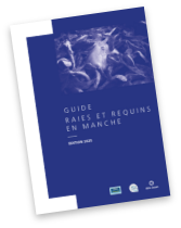 Guide Raies<br />et Requins