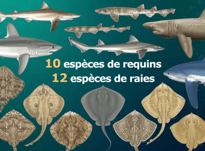 Nos actualités