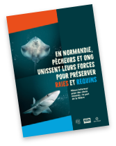 Presse